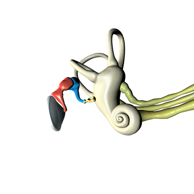 মাথা ঘোরা — মাথা ঘোরা